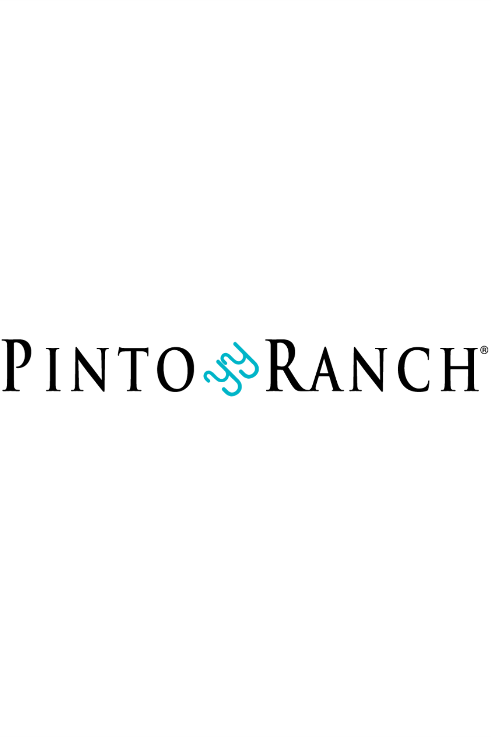 PintoRanch: Double D Ranch Santa Rita Serape Print Dress