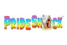 Pride Shack: Car Window Automobile Gay Flag / Rainbow Flag – LGBT Gay & Lesbian Pride