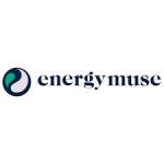 energymuse: Dumortierite Touchstone