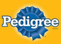 Pedigree: PEDIGREE® HIGH PROTEIN Chicken & Turkey Wet Dog Food