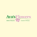 Avas Flowers : Orchid Planter