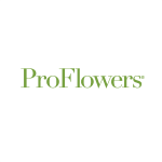 ProFlowers : Long Stem Red Rose Bouquet