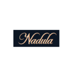 Nadula : Nadula Highlight Ombre Human Hair Bundles