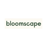 Bloomscape: Bromeliad Pineapple