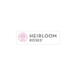 Heirloom Roses  : Westerland™