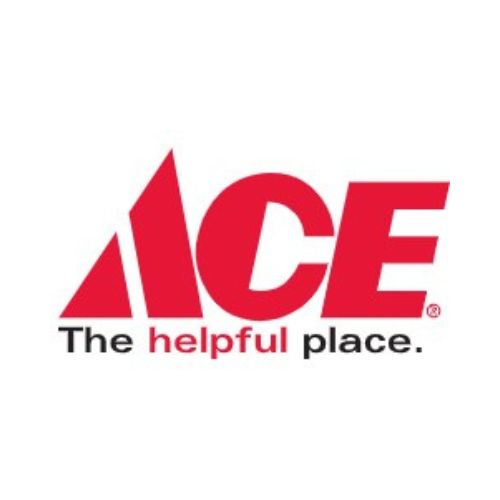 Ace Hardware EGO Power+ LM2167SP 21 in. 56 V Battery SelfPropelled