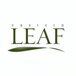 Eastern Leaf : Save 10% off Azalea Bonsai! Use Code: AZALEA10 at checkout.