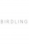 Birdling: Overnighter Bag