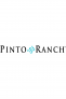 PintoRanch: Double D Ranch Santa Rita Serape Print Dress