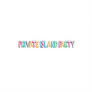 Private Island Party: Iconic 80’s Sunglasses Bulk | Wholesale 80’s Sunglasses | Mix 12 PACK Adult Size 1050