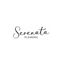 Serenata Flowers : SCARLETT PIMPERNEL