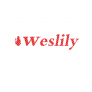 Weslily: Color Block Leopard Splicing T-Shirt