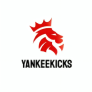 Yankeekicks : Free Shipping On Orders Over $200 !!