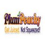 PlumPeachy: EXTREMEBEAM FLASHLIGHT CLOSEOUT BUNDLE – FACTORY REFURBISHED