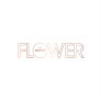 Flower Beauty : SUPERNOVA CELESTIAL SKIN ELIXIR
