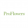 ProFlowers : Long Stem Red Rose Bouquet
