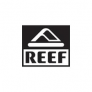 Reef : REEF NUEVO